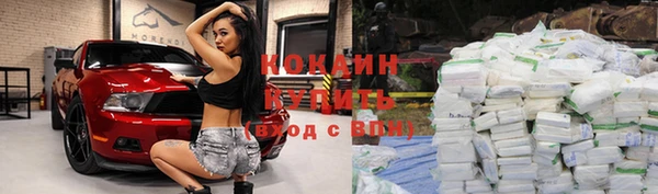 первитин Осинники
