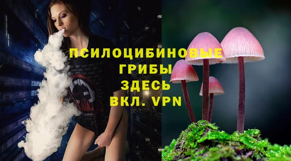 первитин Осташков