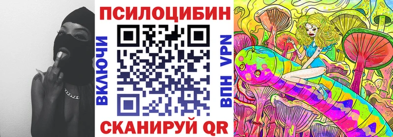 Купить где  Шацк  Галлюциногенные грибы Psilocybe 