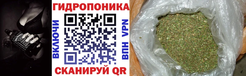 Бошки Шишки ГИДРОПОН  Купить где  Шацк 